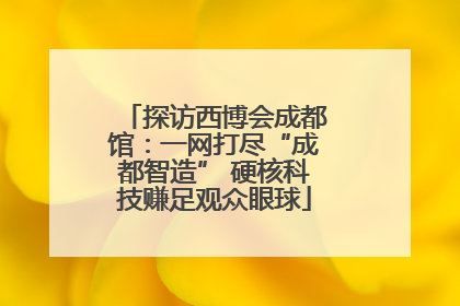 探访西博会成都馆：一网打尽“成都智造” 硬核科技赚足观众眼球